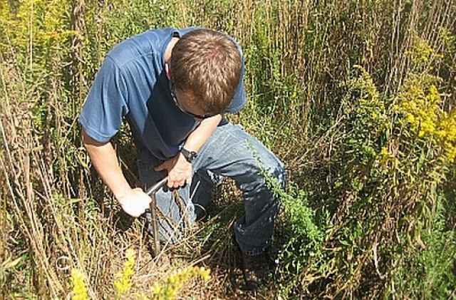 Soil Sampling